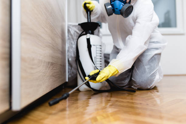 Best Best Pest Control Companies  in Avodo Heights, CA