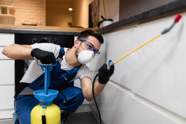 Best Rat Extermination Near Me  in Avodo Heights, CA