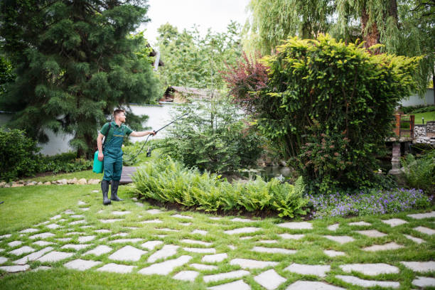 Best Pest Inspection Near Me  in Avodo Heights, CA