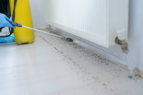Wildlife Control Services in Avocado Heights, CA