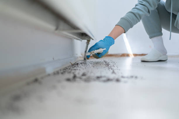 Best Pest Control Treatment  in Avodo Heights, CA