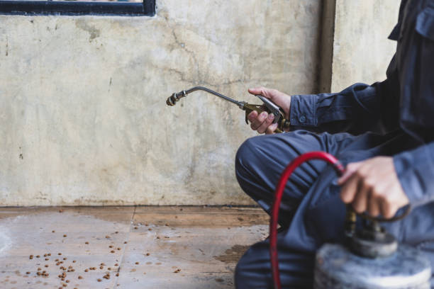 Best Wasp Removal Services  in Avodo Heights, CA